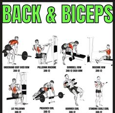 the back and biceps workout poster shows how to do squats, pull - ups, and bench presses