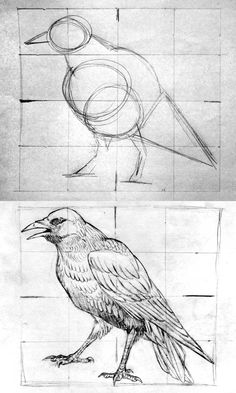 two drawings of birds sitting on top of each other