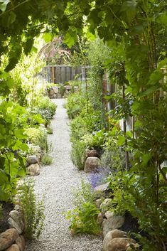 an image of a garden with rocks and plants in the foreground, on instagram