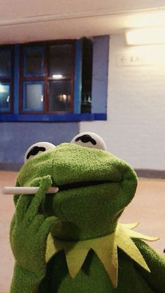 aag30180 temu Kermit Funny, Frog Wallpaper, Simple Phone Wallpapers, Whatsapp Wallpaper, Aesthetic Candles, Kermit The Frog, Funny Profile Pictures, Funny Reaction Pictures, Cartoon Profile Pics