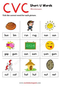 cvc worksheet with pictures and words