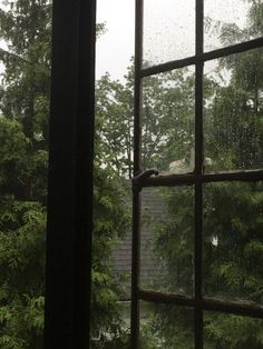 an open window with rain falling on the outside and trees in the back ground behind it