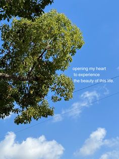 an airplane flying in the sky with a quote written on it's back side