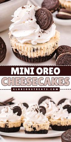 Treat yourself to the best dessert recipe with these Mini Oreo Cheesecakes! With an Oreo crust, Oreo cookies, and cheesecake filling, these mini treats are easy to make. It's the perfect treat to make at home for parties, special occasions, or a sweet snack! Cookies And Cream Cheesecake Cupcakes, Dessert With Oreo Crust, Oreo Cream Cheese Cupcakes, Homemade Cheesecake Bites, Desserts Made With Oreos, Simple Individual Desserts, Oreo Cheesecake Cup Jualan, Quick Oreo Desserts, Mini Cinnamon Roll Cheesecake