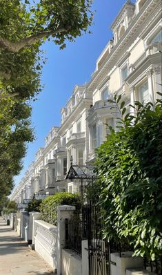 a row of white houses with trees and bushes on the sidewalk in front of them