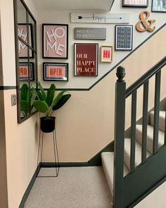 there is a potted plant next to the stairs in this hallway with many pictures on the wall