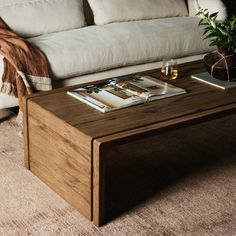 a living room with a couch, coffee table and plant on the carpeted floor