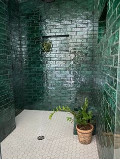 a green tiled shower with a potted plant on the floor in front of it