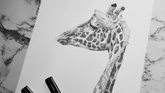 a pencil drawing of a giraffe's head on top of a piece of paper