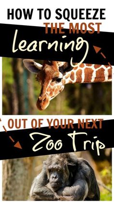 two pictures with the words how to squeeze the most learning out of your next zoo trip