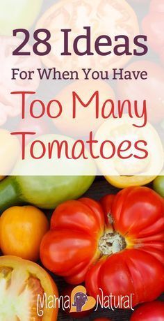 tomatoes and peppers with text overlay that says 28 ideas for when you have too many tomatoes