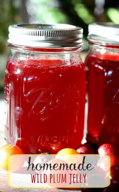 homemade wild plum jelly recipe in mason jars