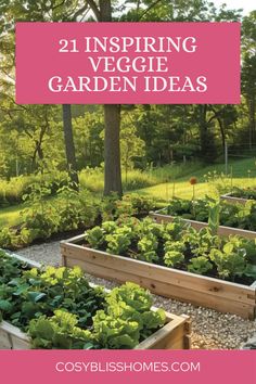 Stunning veggie garden designs showcasing different styles and layouts to inspire your backyard vegetable garden. Featuring an array of plants and creative planting ideas, it emphasizes transforming your outdoor space into a bountiful garden. Veggie Garden Design, Planting Schemes, Color Making, Vegetable Garden Design, Garden Designs, Grow Your Own Food, Veggie Garden