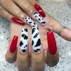 Red And Black Cow Print Nails, Red Cow Print Nails Acrylic, Cow Print Nails With Red, Red Punchy Nails, Red Nails With Cow Print, Red Country Nails, Red Cow Nails, Red Cow Print Nails, Short Cow Nails