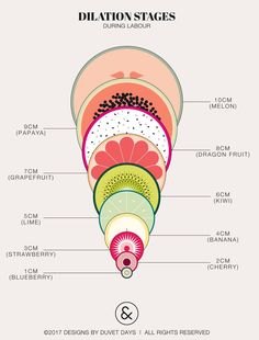 the different types of sushi are shown in this diagram, and each type is labeled with