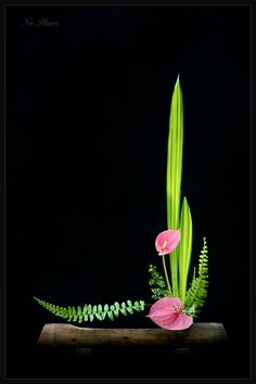 two pink flowers and green leaves on a wooden table with a black backgrounnd