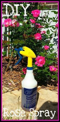 a spray bottle sitting on top of a rock in front of pink flowers with the words diy written above it