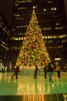 people skating around an ice rink in front of a lit christmas tree with lights on it