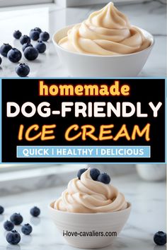 homemade dog - friendly ice cream in a bowl with blueberries on the side