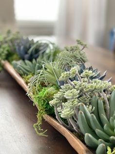 succulents and other plants are arranged on a wooden tray