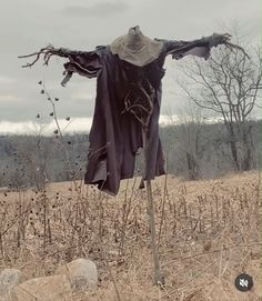 an old scarecrow's shirt hanging from a tree in a field with dead grass