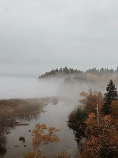 a river surrounded by trees and fog in the sky