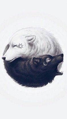 an image of two wolfs with their heads touching each other's noses and eyes