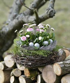 a bird nest with eggs and flowers in it on top of wood stacked next to a tree