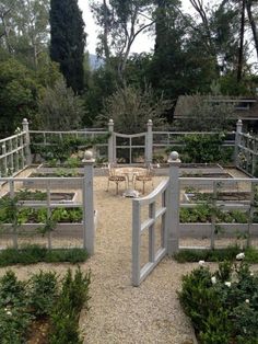 an outdoor vegetable garden with white fenced in plants and benches on gravel ground next to trees