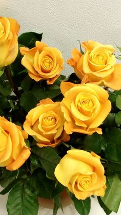 a bunch of yellow roses are in a vase