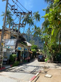 a street with palm trees and power lines above it