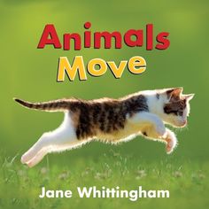 an image of a book cover with a cat running in the grass and text that reads animals move