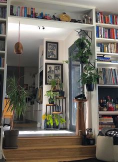 a living room filled with lots of books and plants