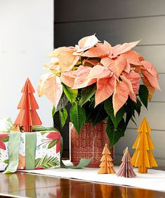 poinsettia plant in ceramic vase on table next to gift boxes and wrapped presents