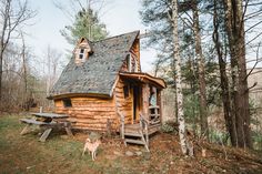 a dog standing in front of a log cabin with a porch and stairs leading up to it