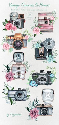 an image of vintage cameras and flowers on a white background with the words vintage cameras and flowers