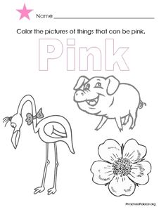 a pink coloring page with an animal and flower