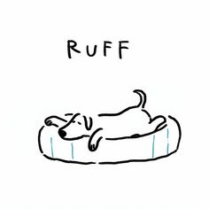 RUFF | MONDAZE | Instagram Fluffy Dog Illustration, Cool Dog Illustration, Logo Dog Design, Dog Illust, Dog Illustration Design, Graphic Icons, Illustration Dog, Kids Fashion Inspiration