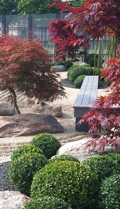 a bench in the middle of a rock garden