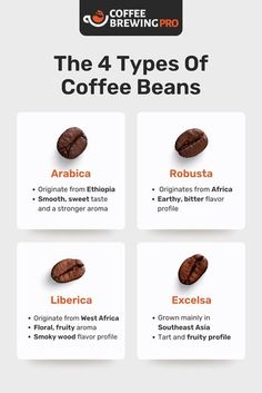 the 4 types of coffee beans