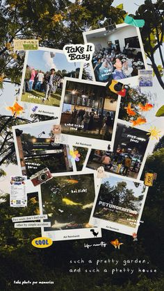 a collage of photos with trees and sky in the background that says, catch a pretty garden