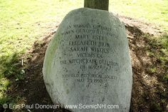 a grave in the middle of a grassy area with a tree growing out of it