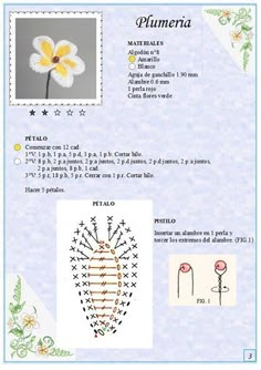 the back cover of a cross stitch pattern for a flower with leaves and flowers on it