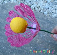 a person is holding a pink flower with a yellow ball in the middle of it