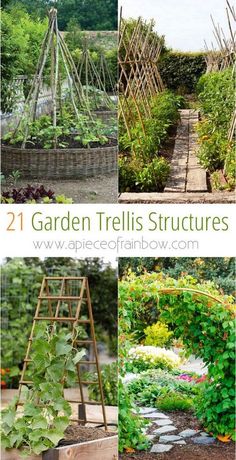 the garden trellis structures are all different sizes and shapes