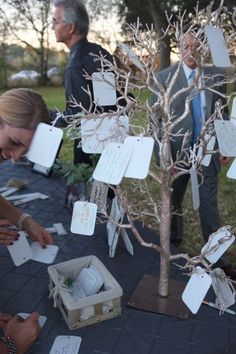 a group of people standing around a tree with cards stuck to it's branches