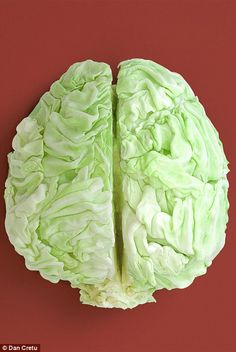 a close up of a green and white brain on a yellow background with the left side showing