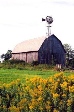 an old barn with a windmill on the roof and yellow flowers in front of it