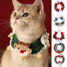 a cat wearing a crochet christmas collar with reindeers and bells on it