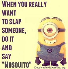 a minion quote with the caption when you really want to slap someone, do it and say mosquito